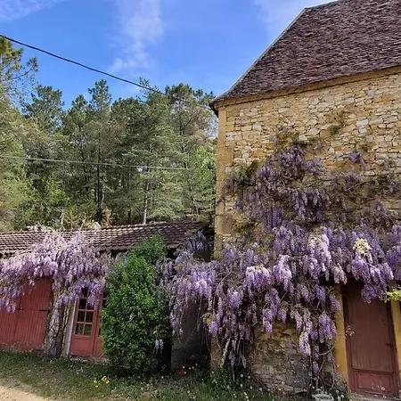 Beautiful House With Heated Pool Saint-Leon-sur-Vezere