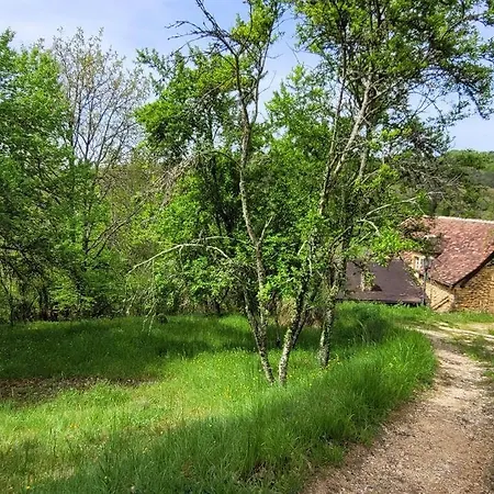 Beautiful House With Heated Pool Saint-Leon-sur-Vezere